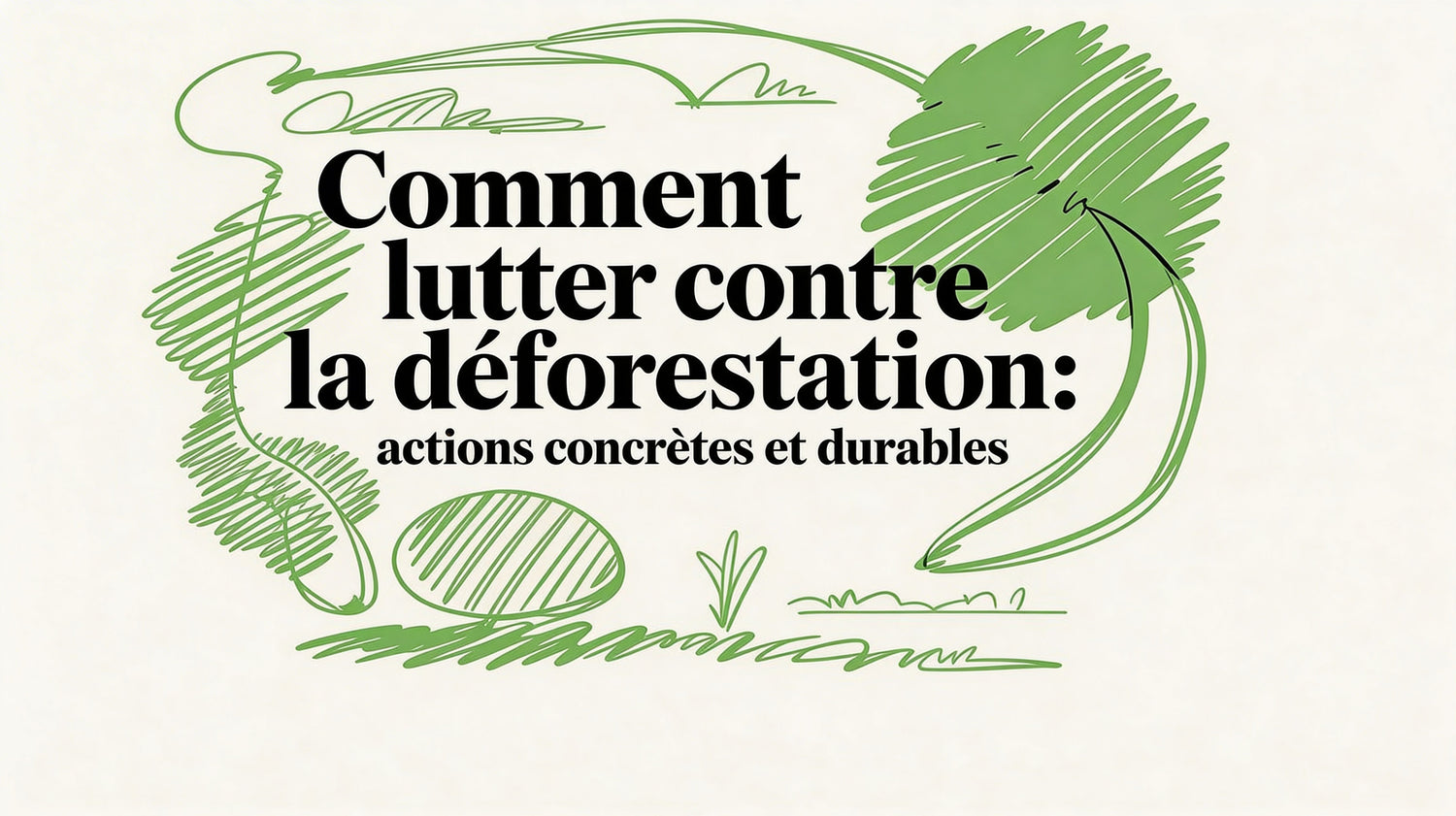 Comment lutter contre la déforestation : le guide des actions qui changent vraiment la donne - Frutopy.fr