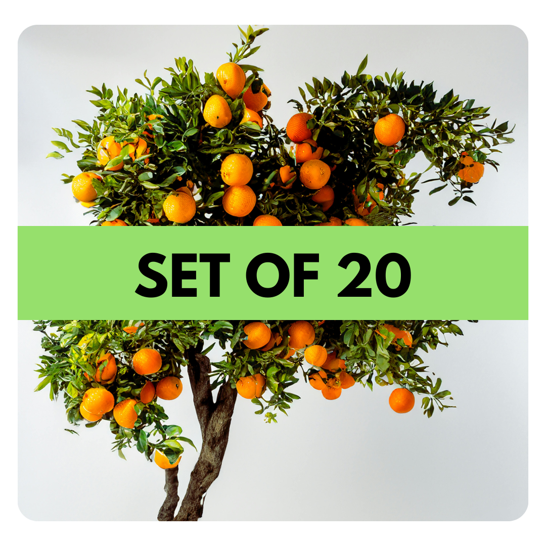 SET OF 20 TREES