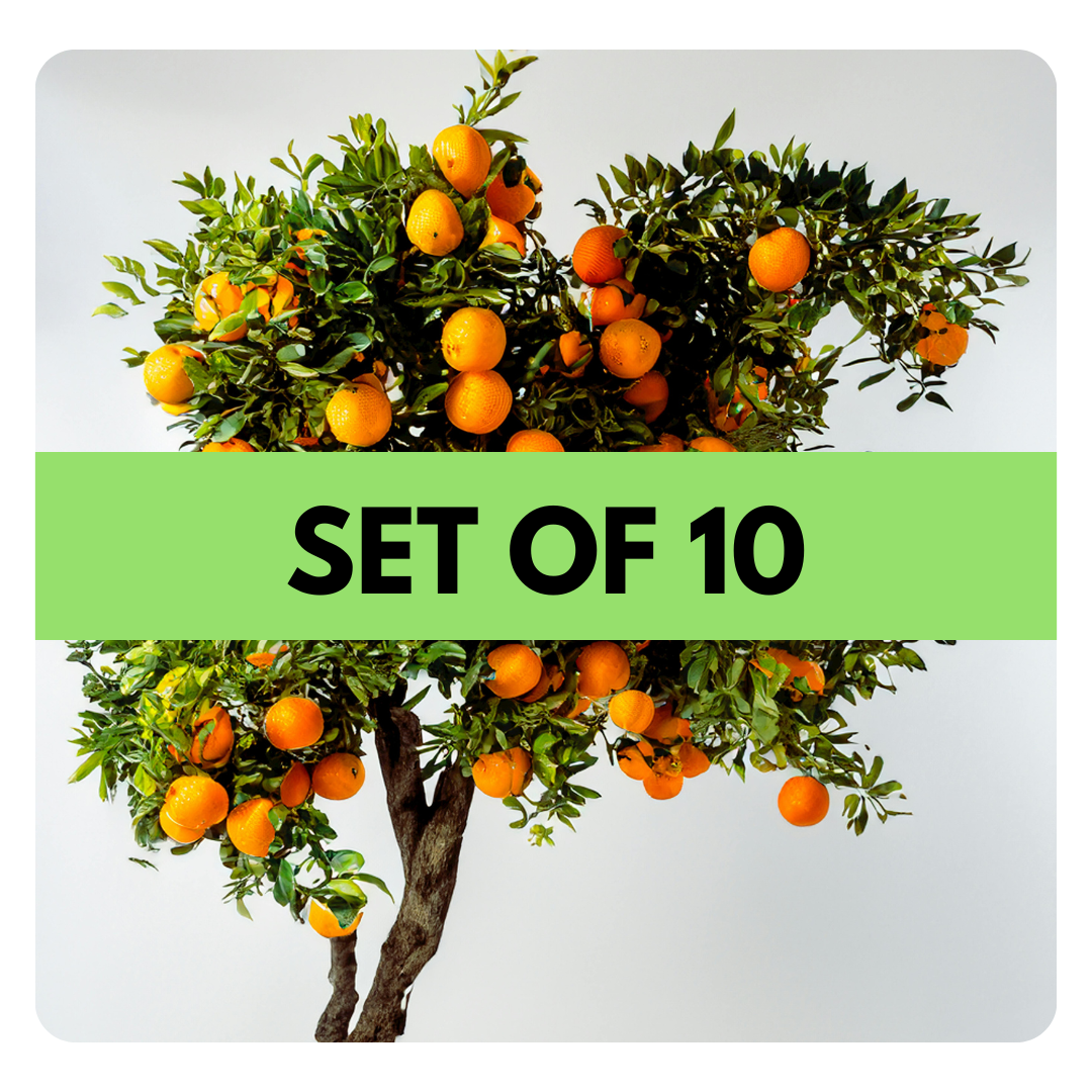 SET OF 10 TREES