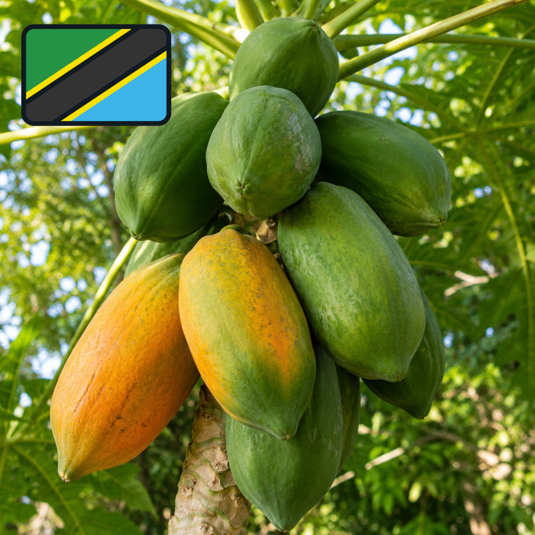 Papaye de Tanzanie