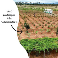 L'arbre de maman ❤️ - Frutopy.fr