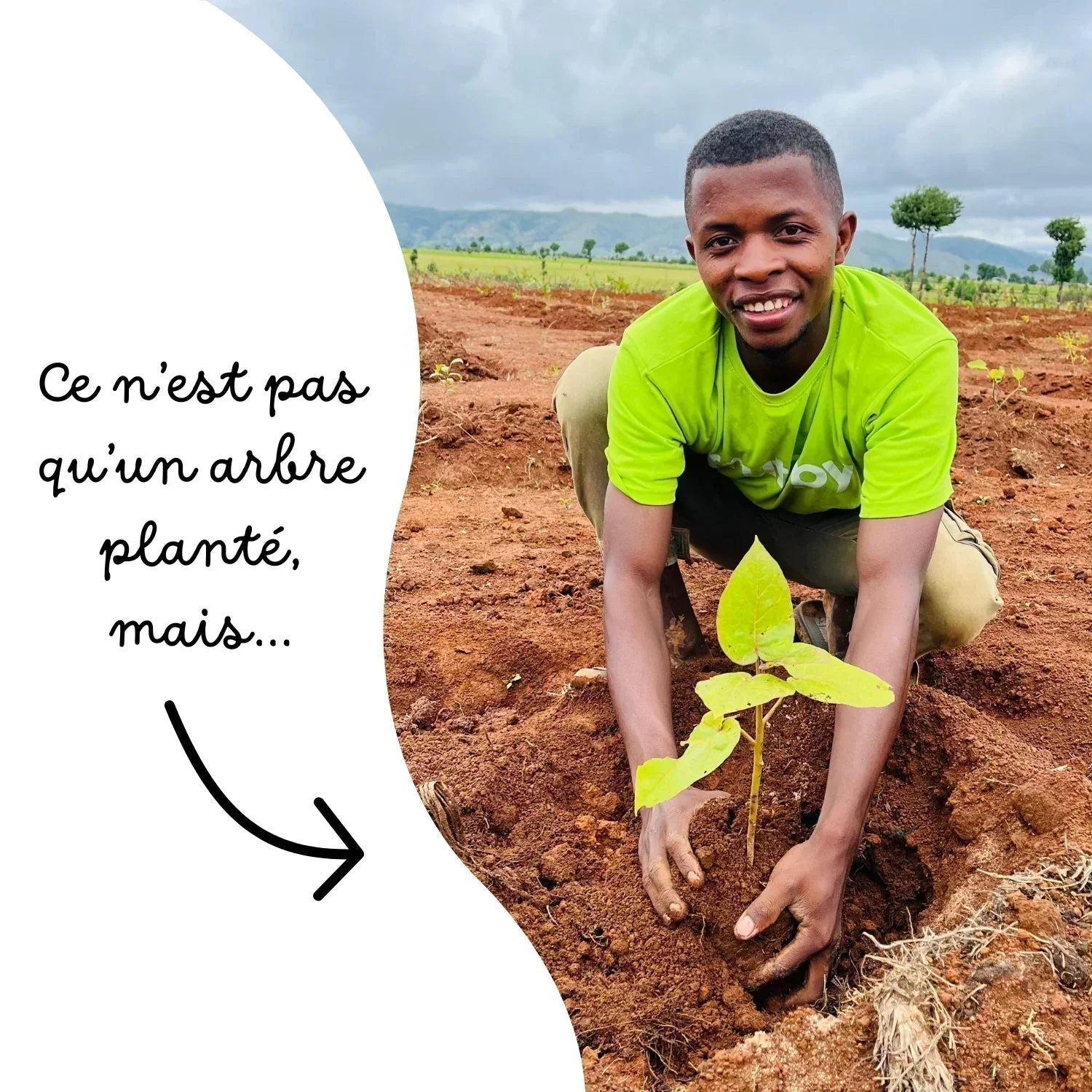L'arbre de maman ❤️ - Frutopy.fr