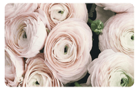 MARIAGE - Frutopy.fr