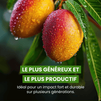 NAISSANCE - Frutopy.fr