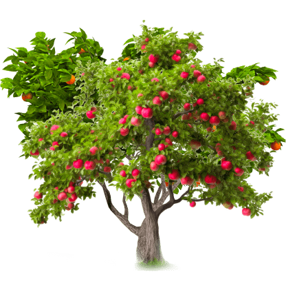 Fruit Tree